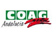 coag-noticia