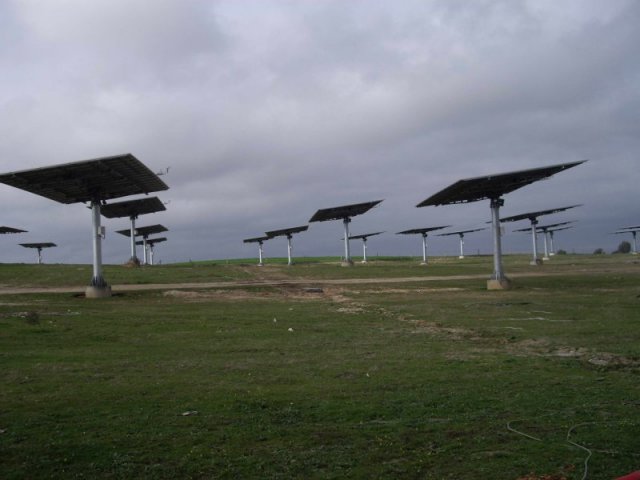 1MW Calzada