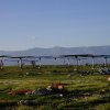 1MW Calzada