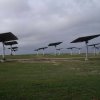 1MW Calzada