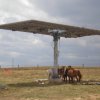 1MW Calzada